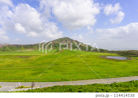 ミヤマキリシマの花が咲く烏帽子岳を背景に草千里ヶ丘風景　(阿蘇山中岳・阿蘇火口周辺) 114414538