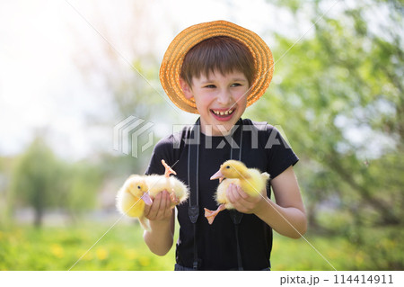 Happy boy holding ducklings on the background of nature. Child and ducklings. Happy boy holding ducklings on the background of nature. Child and ducklings. 114414911