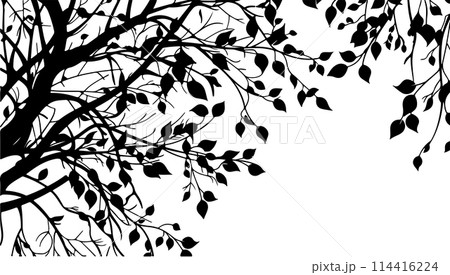 Tree branches silhouette isolated on white background. Vector illustration forest design and element landscape season. Autumn clip art and decoration abstract outdoor 114416224