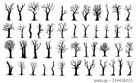 Bare trees silhouettes set. Vector illustration outline forest and trunk wood collection. Art shape drawing and element stem clip art. Dead tree abstract isolated 114416225