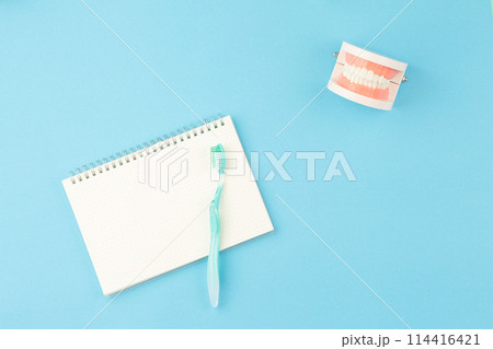Jaw model with toothbrush on desk. 114416421
