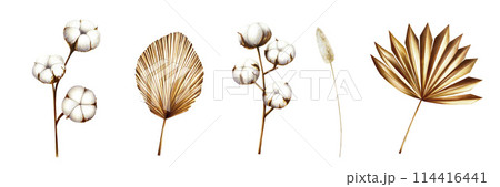 Realistic set with dried branch, pampas grass, cotton flowers. Watercolor hand drawn boho plants isolated on background. Christmas, winter, and wedding illustration. For designers, invitations, Realistic set with dried branch, pampas grass, cotton flowers. Watercolor hand drawn boho plants isolated on background. Christmas, winter, and wedding illustration. For designers, invitations, 114416441