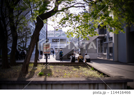 早稲田大学理工学部　西早稲田キャンパス 114416466