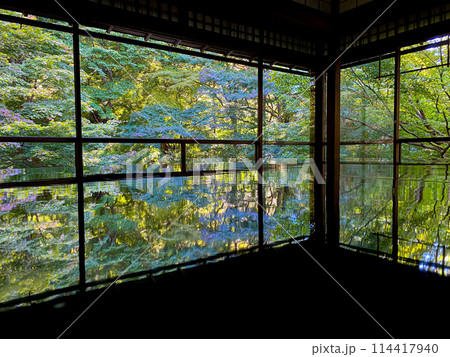 日本の京都の瑠璃光院で見る青もみじ 114417940