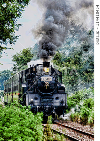 真岡鉄道の蒸気機関車 114418454