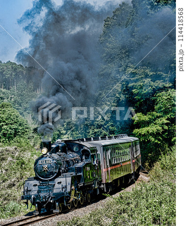 真岡鉄道の蒸気機関車 114418568