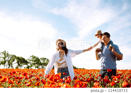 Family with a child walking on a poppy field. Mother, father, little daughter having fun on the poppy field. Family with a child walking on a poppy field. Mother, father, little daughter having fun on the poppy field. 114418715
