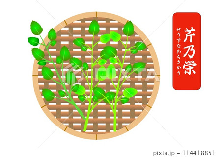 芹乃栄　せりすなわちさかう 114418851