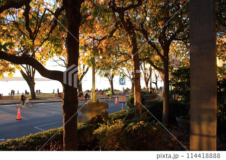 Vancouver downtown on sunny autumn day 114418888