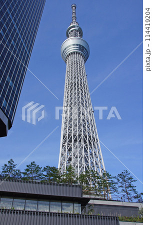 青空と東京スカイツリー 青空と東京スカイツリー 114419204