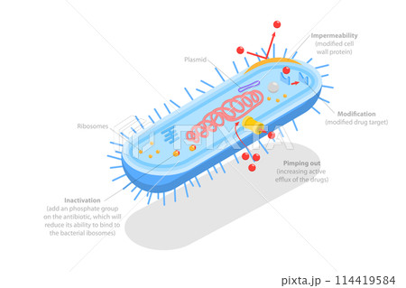 3D Isometric Flat Conceptual Illustration of Antimicrobal Resistance, Medical Educational Diagram 3D Isometric Flat Conceptual Illustration of Antimicrobal Resistance, Medical Educational Diagram 114419584