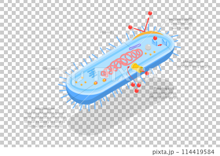 3D Isometric Flat Conceptual Illustration of Antimicrobal Resistance, Medical Educational Diagram 3D Isometric Flat Conceptual Illustration of Antimicrobal Resistance, Medical Educational Diagram 114419584