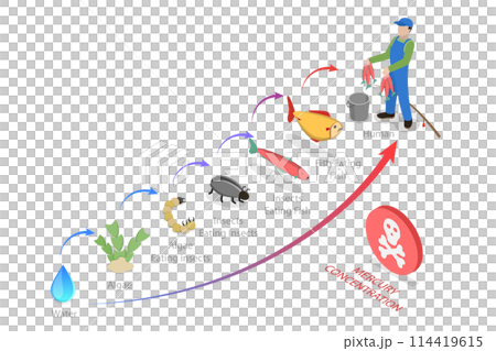 3D Isometric Flat  Conceptual Illustration of Biomagnification, Educational Outline Diagram 114419615
