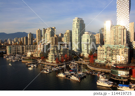 Downtown Vancouver in sunset light. British Columbia, Canada 114419725