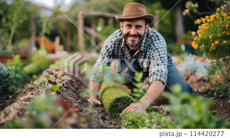 Gardener working in the garden. Gardener laying a rolled lawn. 114420277