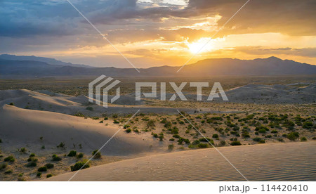 広大な砂漠　アフリカ　砂漠　夕日 114420410