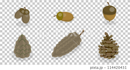 3D Isometric Flat  Set of Acorns And Cones, Natural Objects 114420431