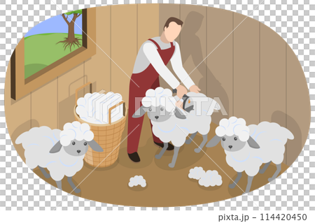 3D Isometric Flat Conceptual Illustration of Shearing Sheep, Wool Production 3D Isometric Flat Conceptual Illustration of Shearing Sheep, Wool Production 114420450