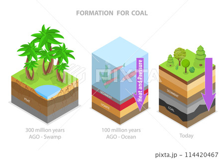 3D Isometric Flat Conceptual Illustration of Coal Formation, Educational Diagram 3D Isometric Flat Conceptual Illustration of Coal Formation, Educational Diagram 114420467