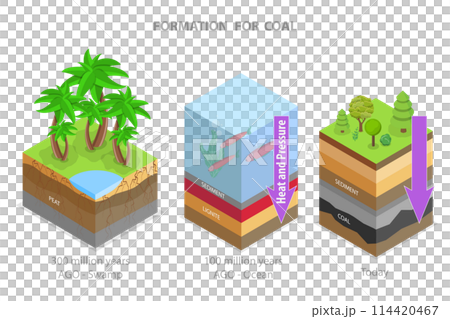 3D Isometric Flat Conceptual Illustration of Coal Formation, Educational Diagram 3D Isometric Flat Conceptual Illustration of Coal Formation, Educational Diagram 114420467