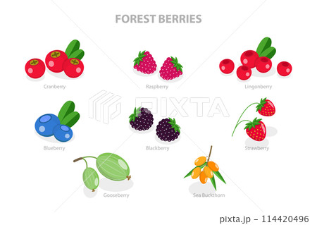 3D Isometric Flat  Set of Forest Berries, Juicy and Fresh Fruits 114420496