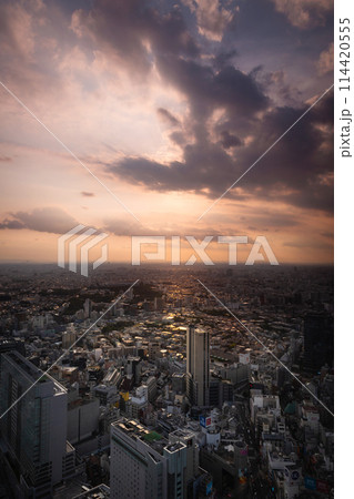 city scape sunset from building rooftop city scape sunset from building rooftop 114420555