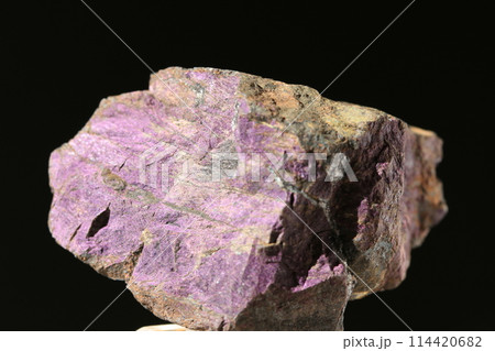 パープライト 114420682