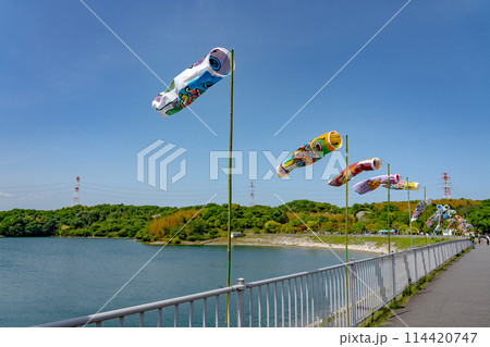 三重県四日市市 初夏の伊坂ダムの湖面とこいのぼり 三重県四日市市 初夏の伊坂ダムの湖面とこいのぼり 114420747