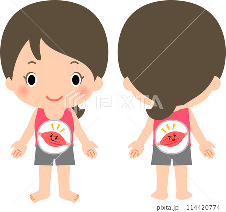 腹筋と背筋の状態が良い女性 114420774