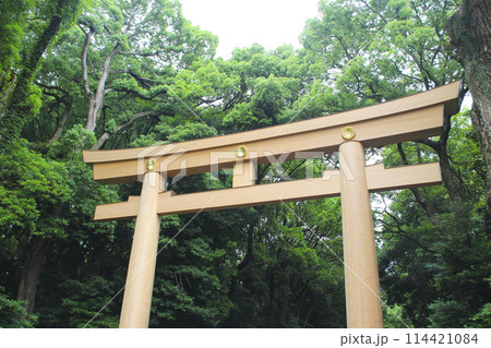 明治神宮・鳥居／東京都渋谷区代々木神園町1番 114421084