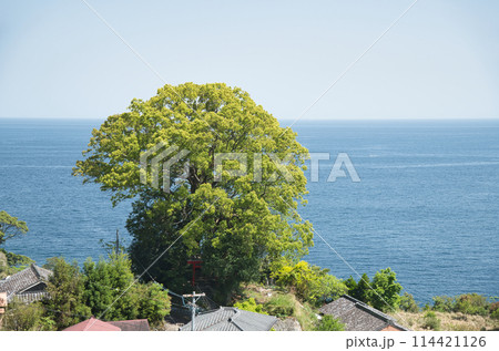 徐福の宮　【三重県熊野市新鹿町】 114421126