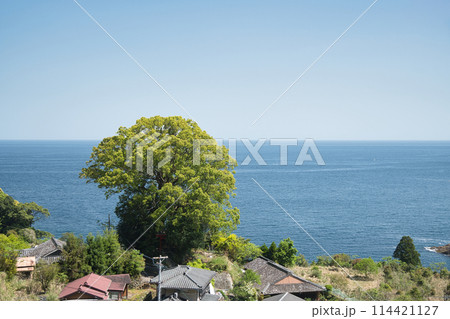 徐福の宮　【三重県熊野市新鹿町】 114421127