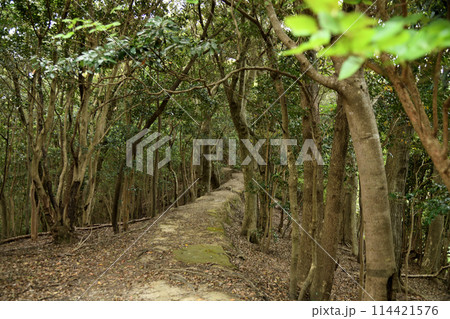 長井坂[段築](熊野古道)   【和歌山県すさみ町】 114421576