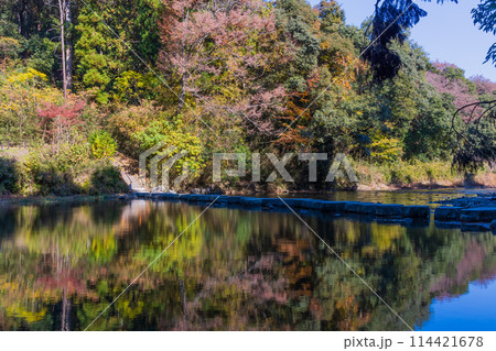埼玉嵐山町の秋　紅葉の嵐山渓谷 114421678
