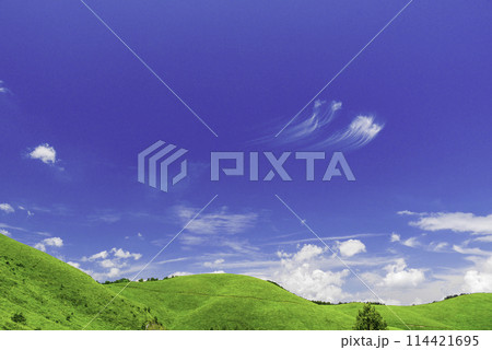 爽やかな青空と草原 114421695