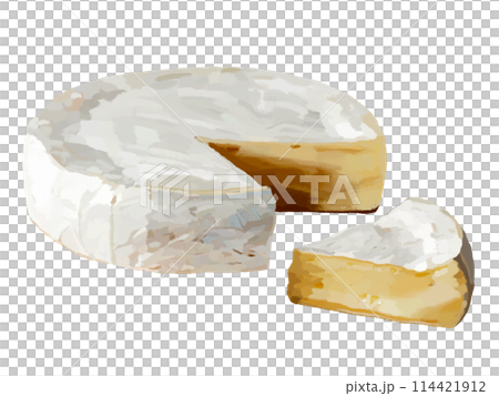 Camembert cheese (whole and pieces) 114421912