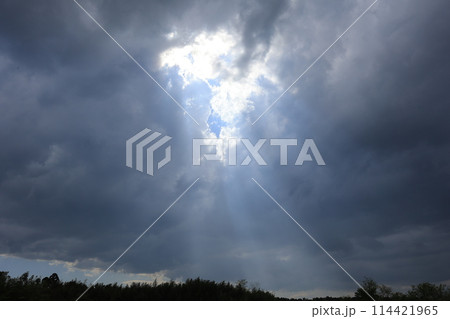 気持ちいい青空 114421965