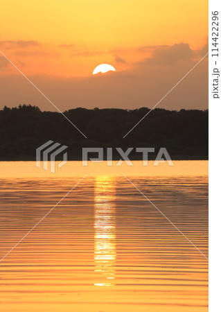 夜明けの静かな湖 夜明けの静かな湖 114422296