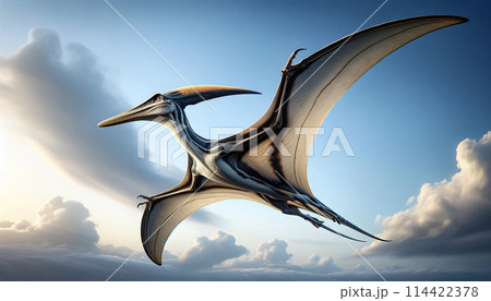 プテラノドン004 プテラノドン004 114422378