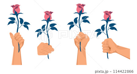 A clenched fist holding a rose isolated on background. 114422866