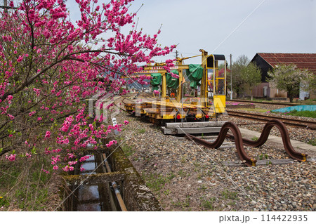 満開の花桃の里、勝原駅 114422935