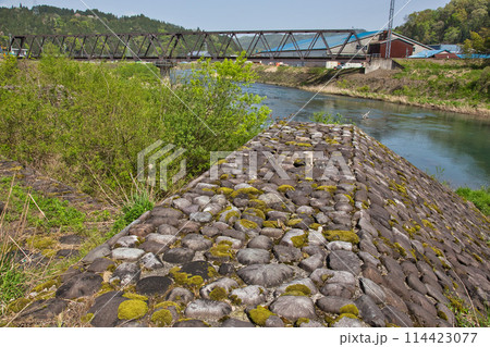 一乗谷、西山光照寺跡に春の訪れ 114423077