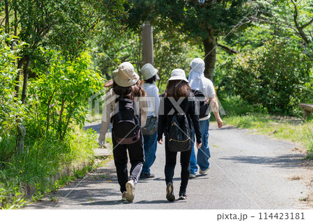 《福岡県》油山市民の森・新緑 114423181