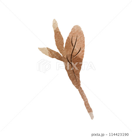 シンプルな茶色の葉っぱの水彩イラスト（紅茶、烏龍茶、黒茶など） 114423190