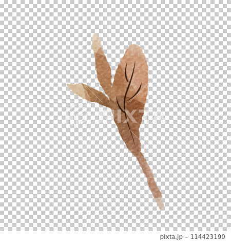 シンプルな茶色の葉っぱの水彩イラスト（紅茶、烏龍茶、黒茶など） 114423190
