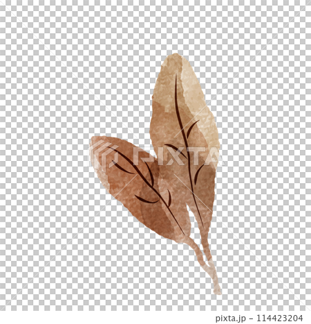 シンプルな茶色の葉っぱの水彩イラスト(紅茶、烏龍茶、黒茶など) シンプルな茶色の葉っぱの水彩イラスト(紅茶、烏龍茶、黒茶など) 114423204