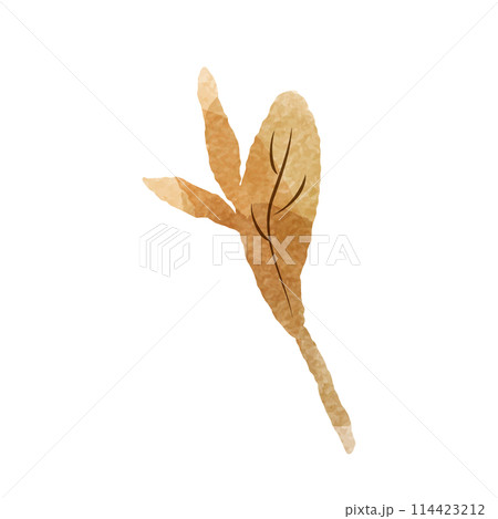 シンプルな茶色の葉っぱの水彩イラスト（紅茶、烏龍茶、黒茶など） 114423212