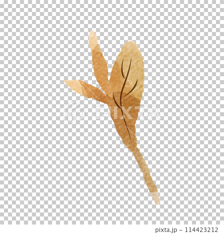 シンプルな茶色の葉っぱの水彩イラスト（紅茶、烏龍茶、黒茶など） 114423212
