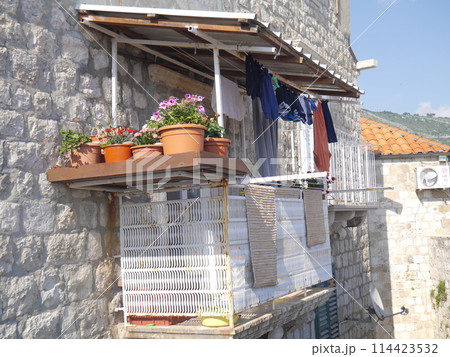 夕方の洗濯物 114423532