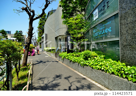 東京渋谷区　新緑の代官山T-SITE付近の風景 114423571